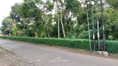 dijual tanah luas hub 0812-2002-2004