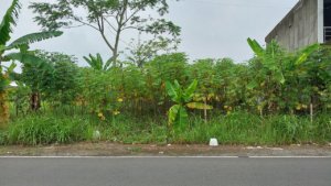 jual tanah purwokerto hub 0812-2002-2004