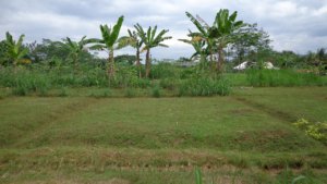tanah-kavling-dijual-sokaraja